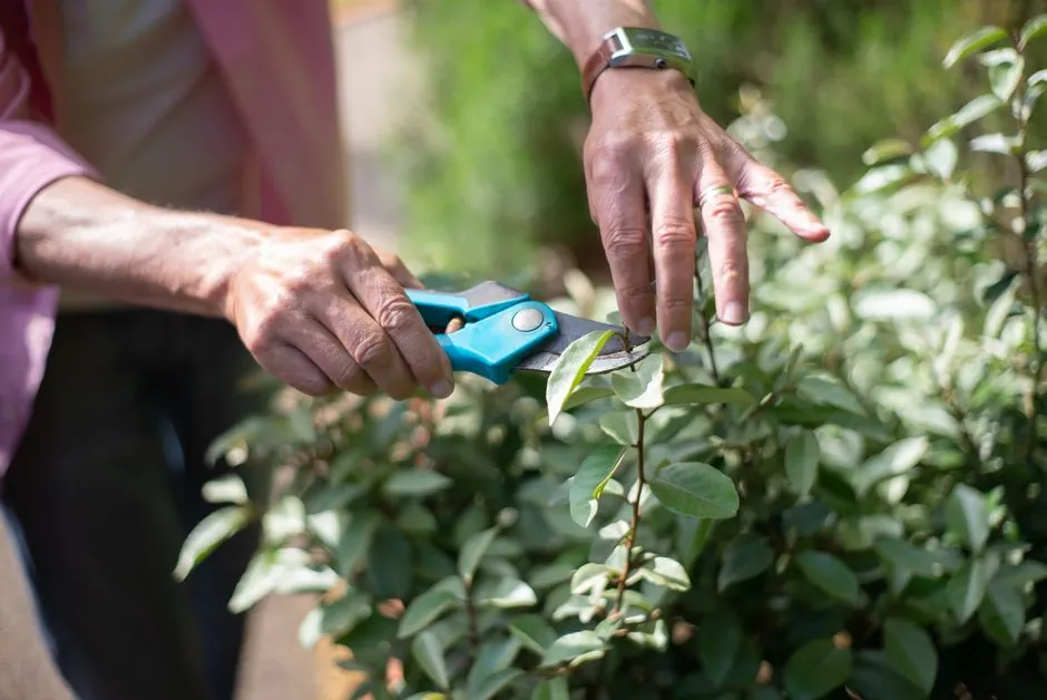 Fabien au travail dans un jardin a Montauban