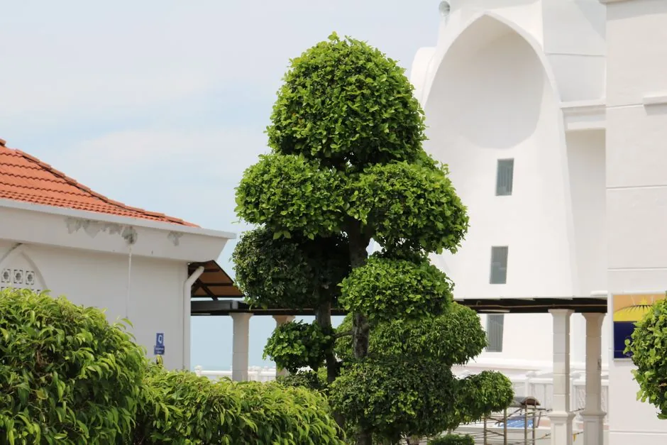 Jardin entretenu par Jardins Fabien